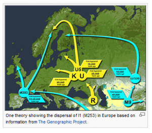 Wikipedia-haplogroup-I1-M253 Wikipedia Haplogroup I1 - SNP M253
