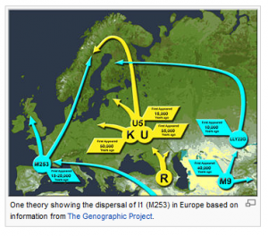 Wikipedia Haplogroup I1 - SNP M253