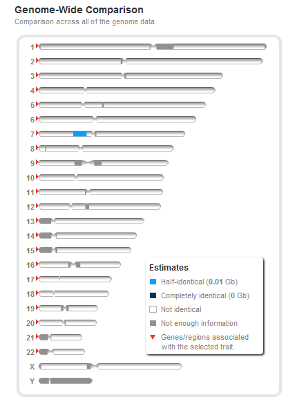Relative Finder DNA Match Chromosome 7 Relative Finder DNA Match Chromosome 7