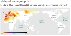 Haplogroup H1 Haplogroup H1