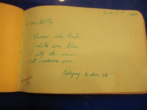 Roses are red Violets are blue Roses are red Violets are blue