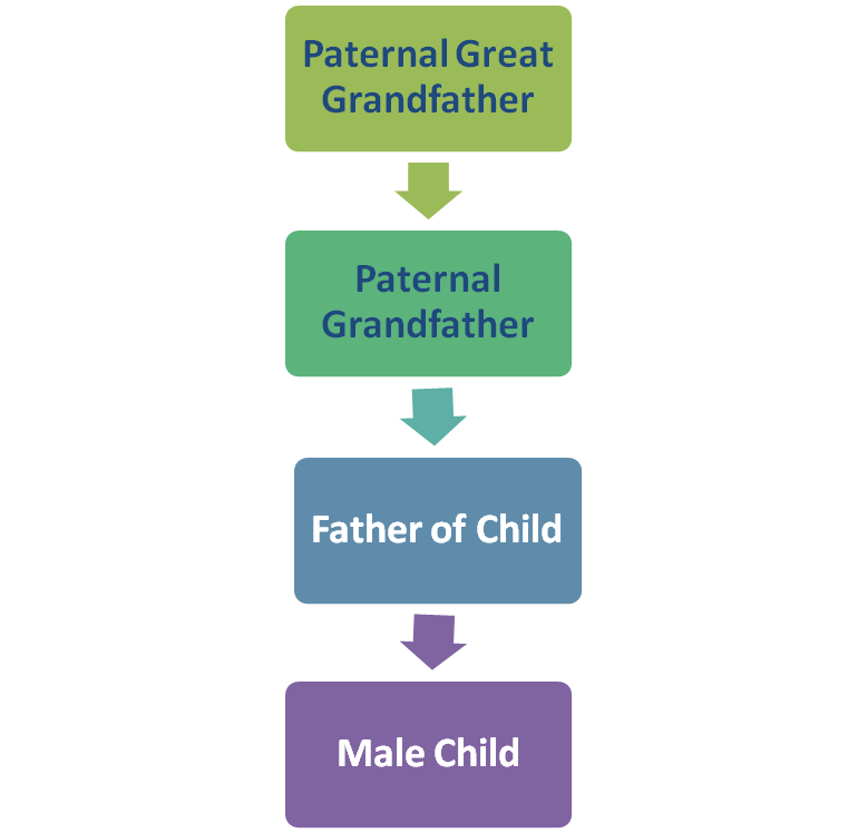 Y DNA Lineage Y DNA Lineage